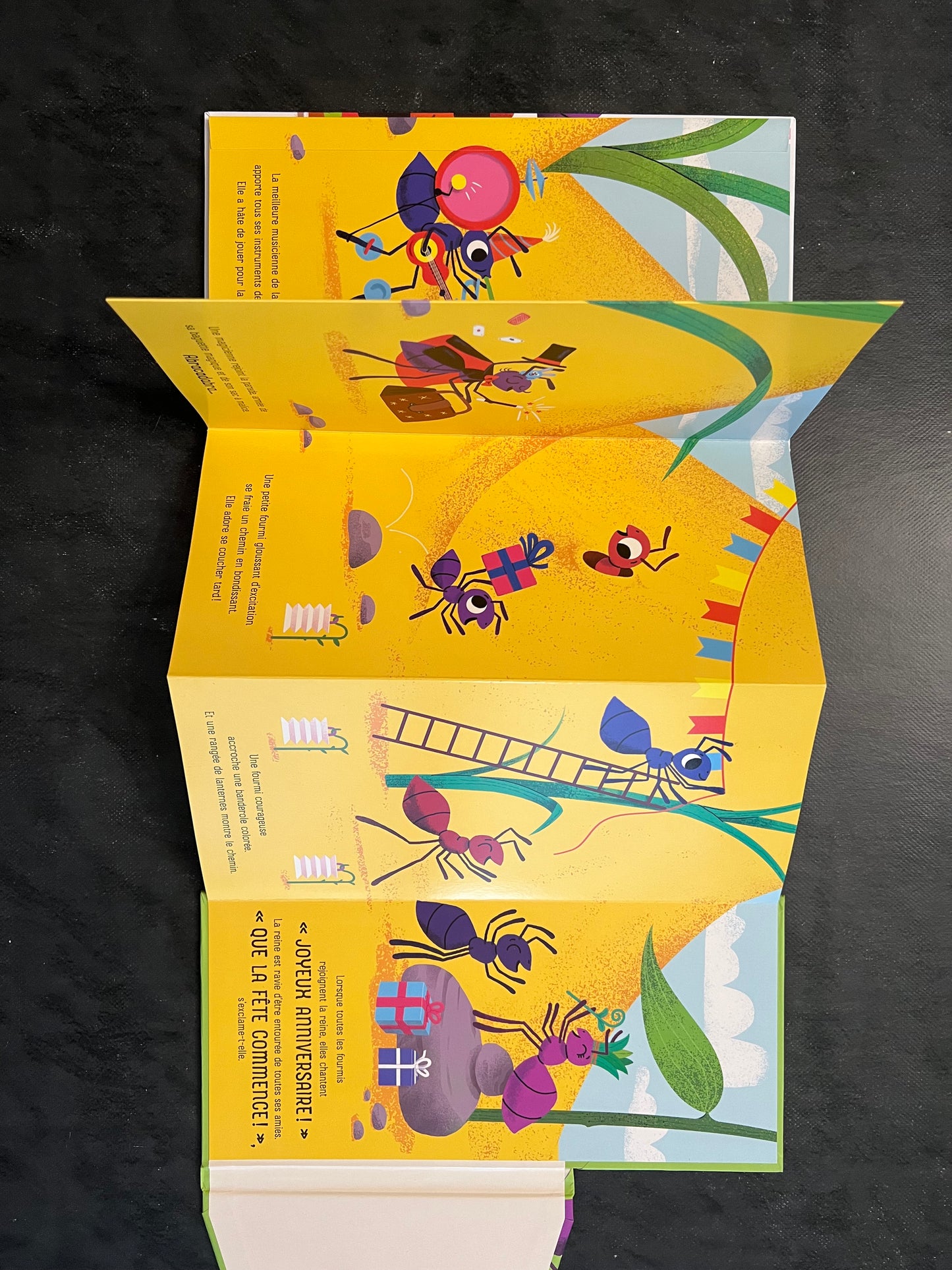 Mon accordéon du dodo - Dors bien, jusqu'au matin ! Petite fourmis