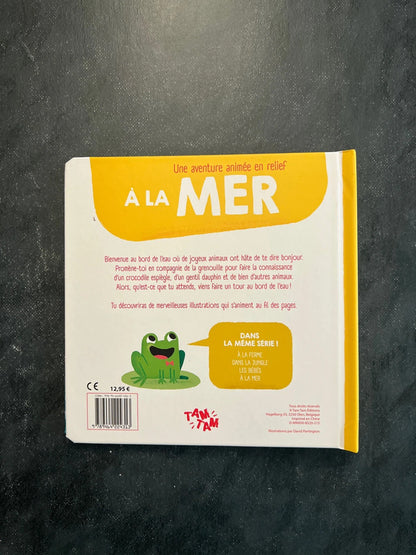 Une aventure animée en relief - à la mer