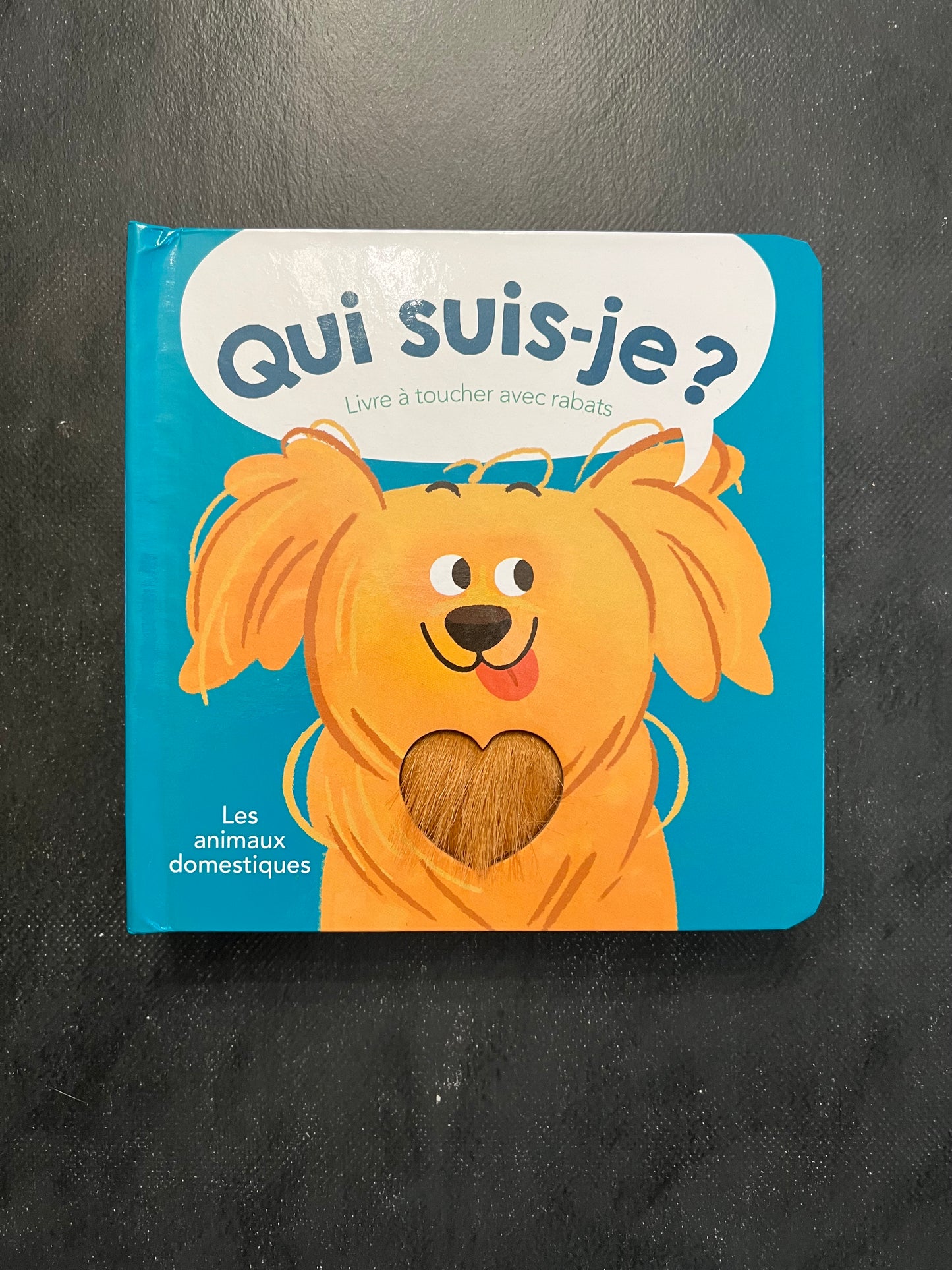 Qui suis-je ? - les animaux domestiques