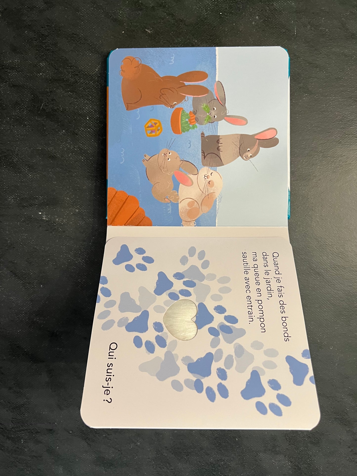 Qui suis-je ? - les animaux domestiques