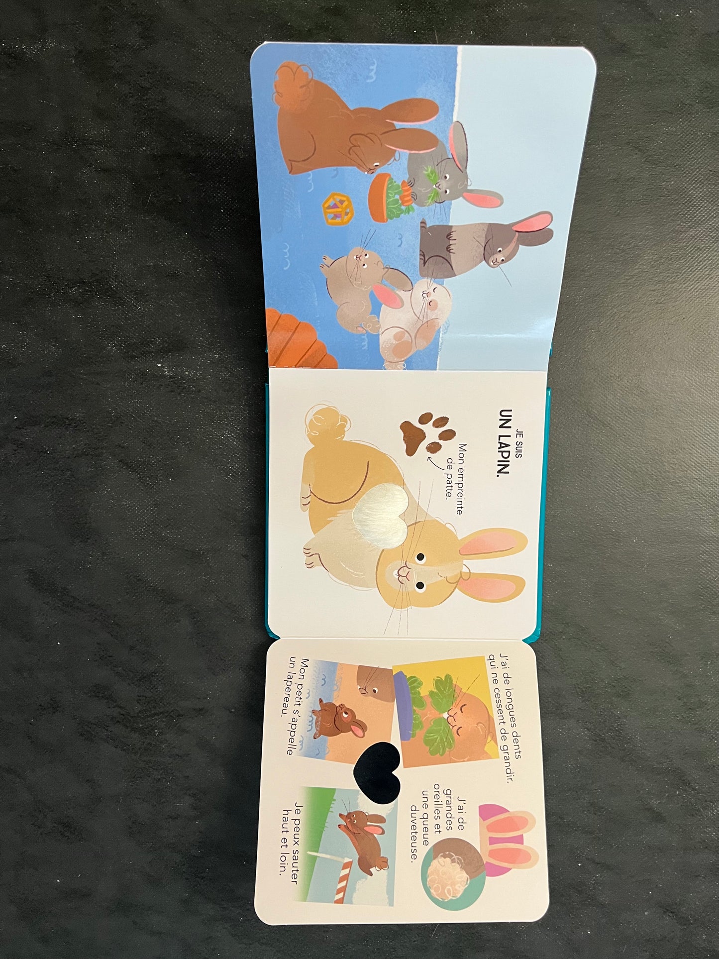 Qui suis-je ? - les animaux domestiques