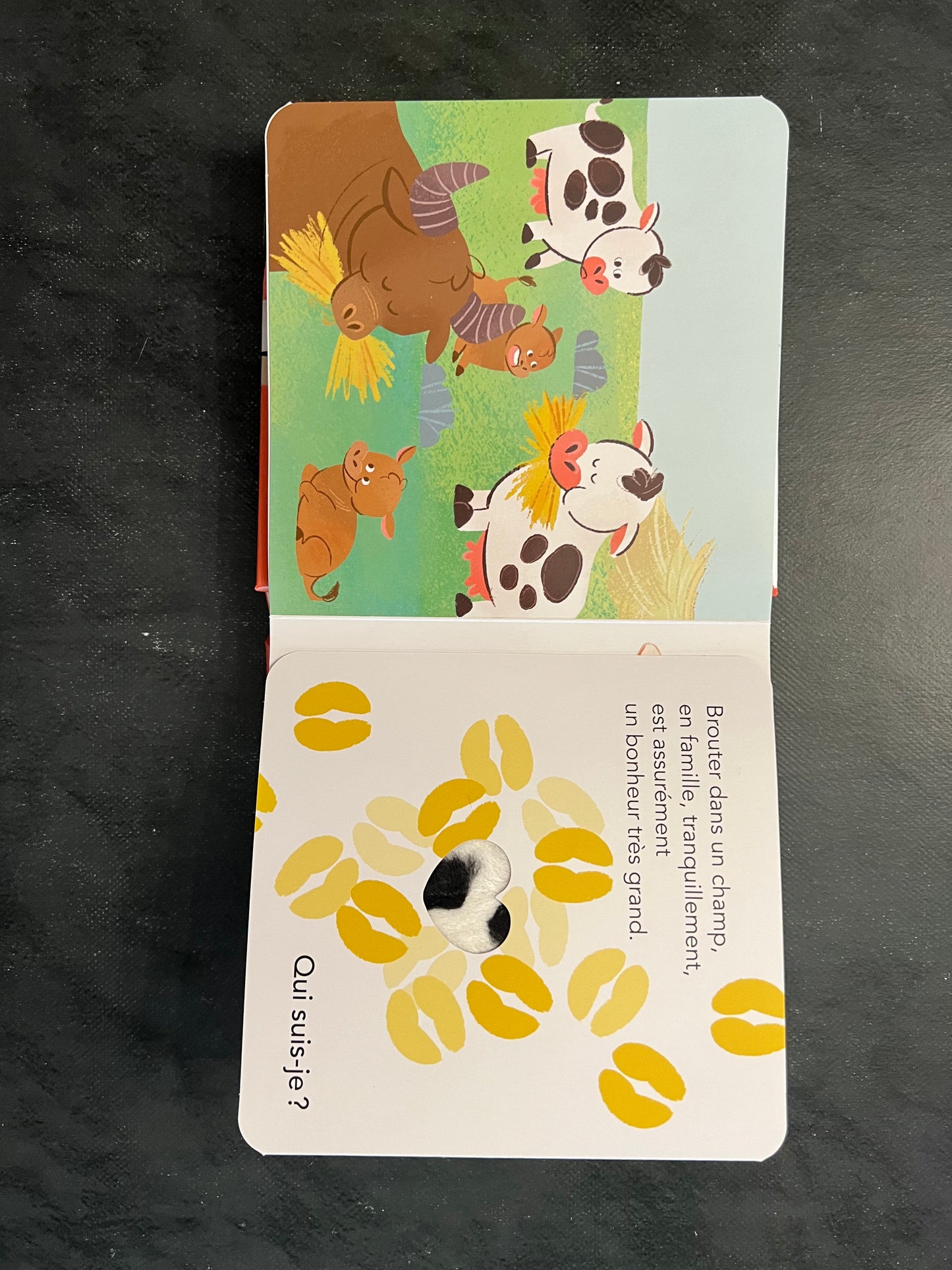 Qui suis-je ? - les animaux de la ferme