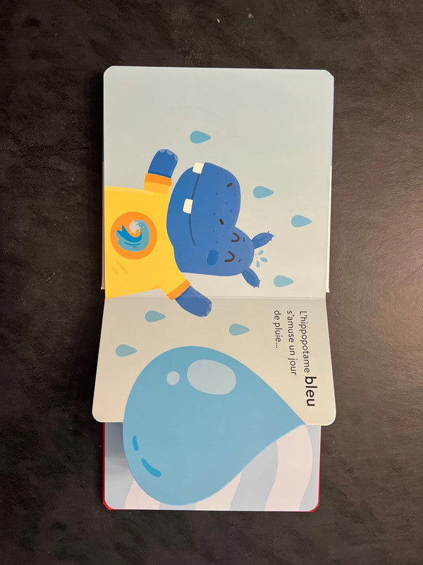Livre devine qui se cache - que fait l’hippopotame bleu ?