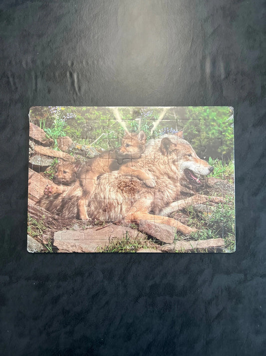 Puzzle - Le Loup : Un jeu de logique ludique